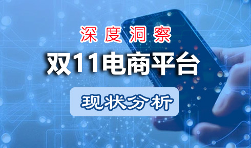 2023年雙11電商平臺現狀分析